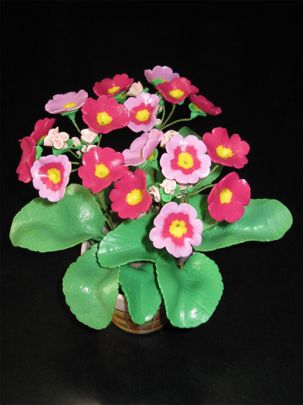 ���B�����q���ہ����灕�A�C�����r�[�Y�t�����[