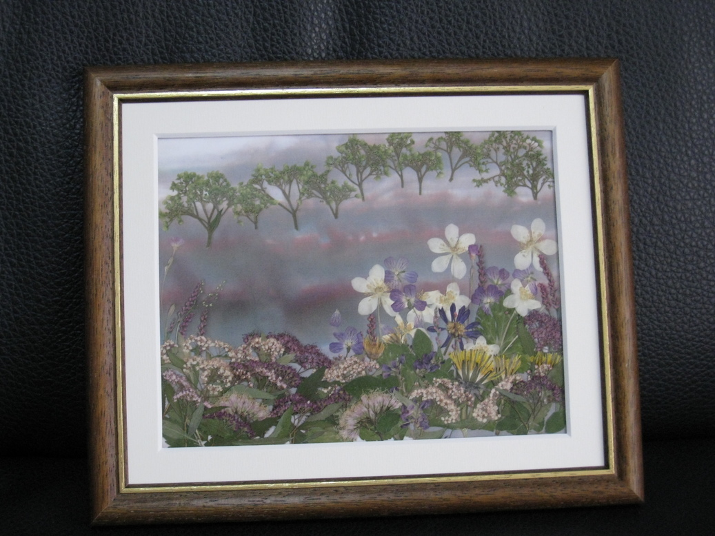 ���B�����q���ہ����灕�A�C�����r�[�Y�t�����[