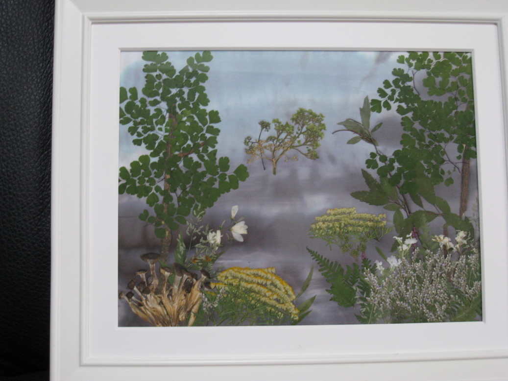 ���B�����q���ہ����灕�A�C�����r�[�Y�t�����[