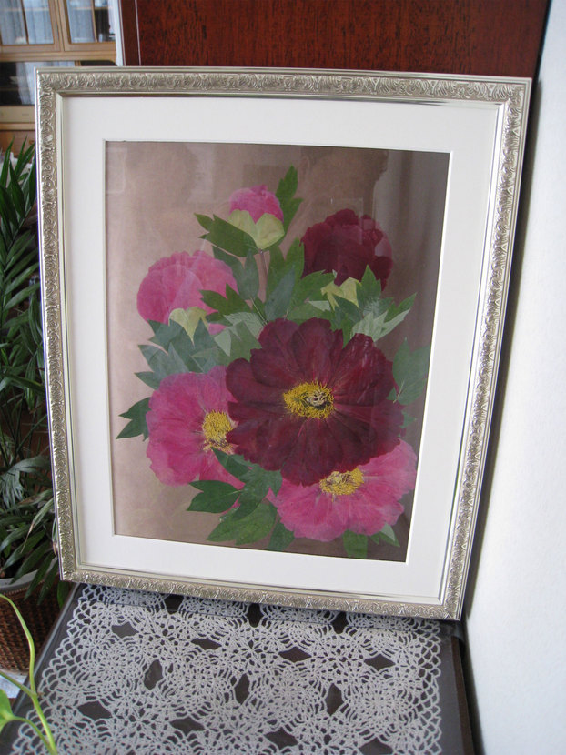 ���B�����q���ہ����灕�A�C�����r�[�Y�t�����[