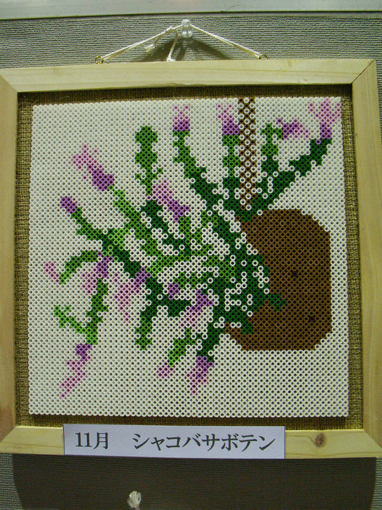 ���B�����q���ہ����灕�A�C�����r�[�Y�t�����[