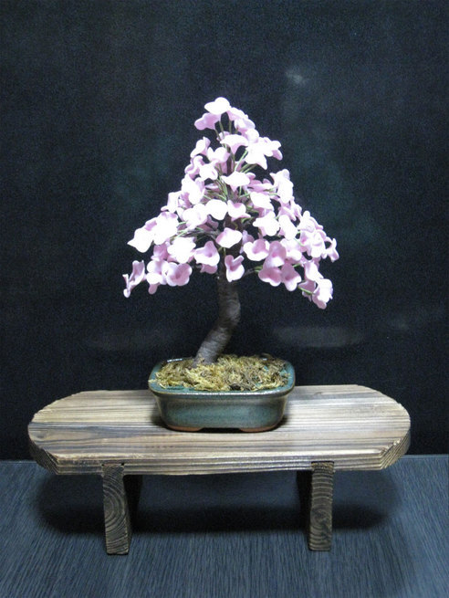 ���B�����q���ہ����灕�A�C�����r�[�Y�t�����[