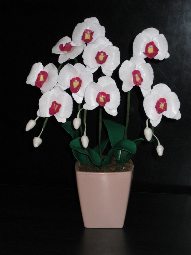 ���B�����q���ہ����灕�A�C�����r�[�Y�t�����[