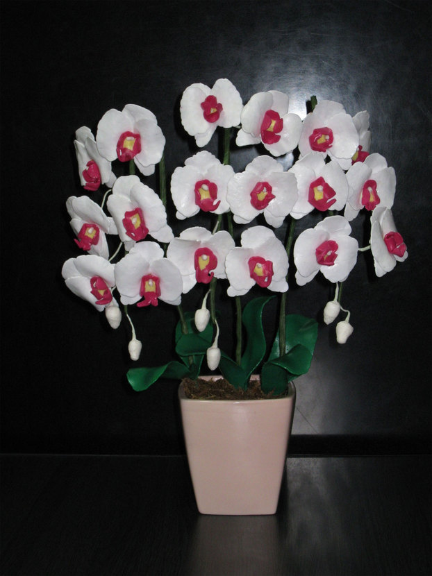 ���B�����q���ہ����灕�A�C�����r�[�Y�t�����[