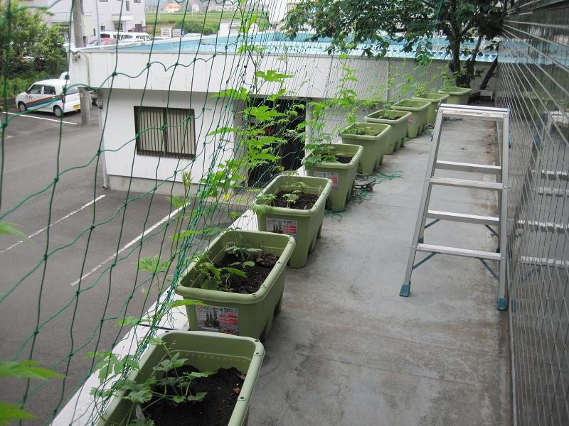 ���ԃP�[�u���e���r�@�΂̃J�[�e�����L