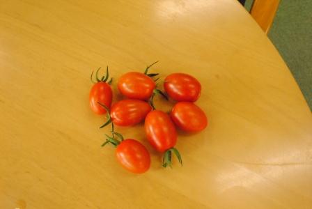 ���ԃP�[�u���e���r�@�΂̃J�[�e�����L