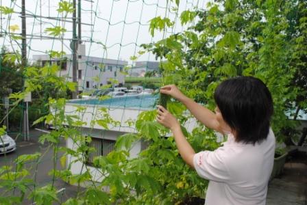 ���ԃP�[�u���e���r�@�΂̃J�[�e�����L