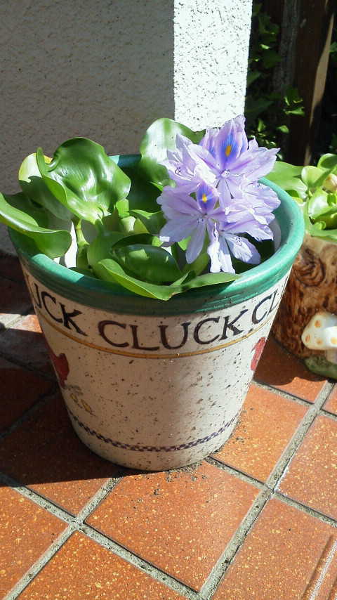 ���������āE�E�E�E