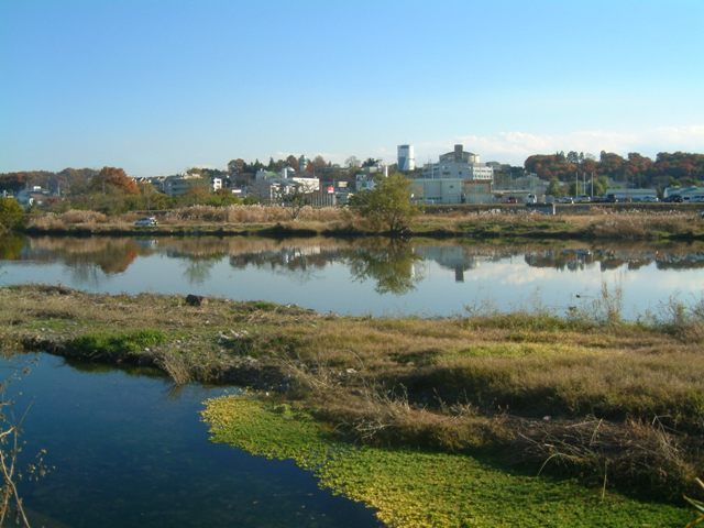 �������̖݂�