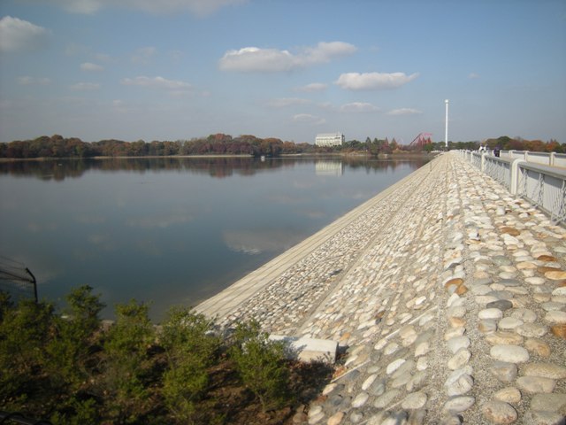 �������̖݂�