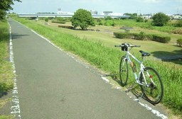 �������̖݂�