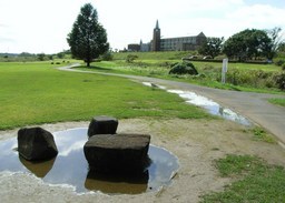 �������̖݂�