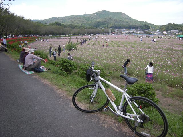 �������̖݂�