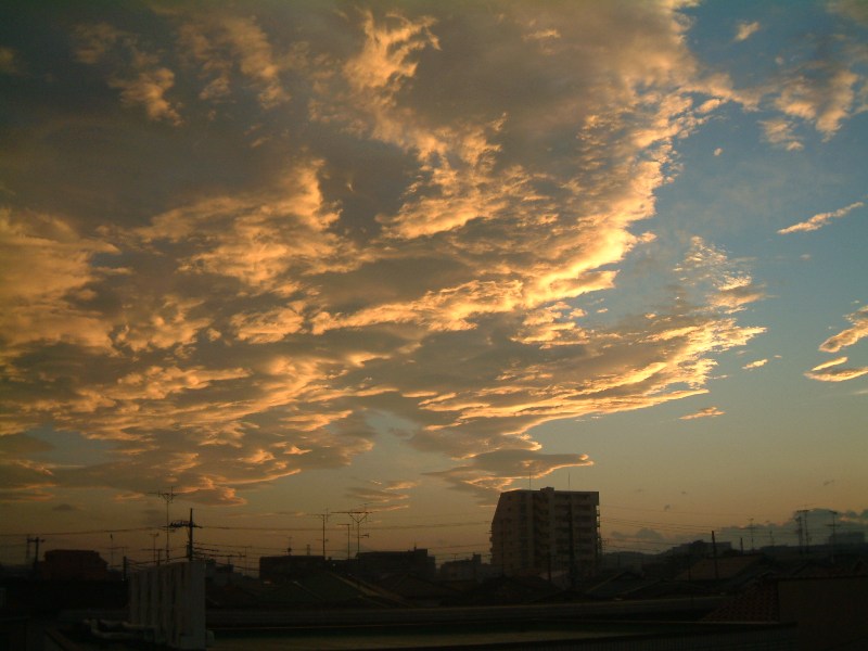 �������̖݂�