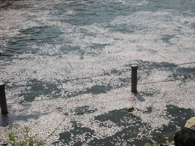 �������̖݂�