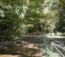 �������̖݂�