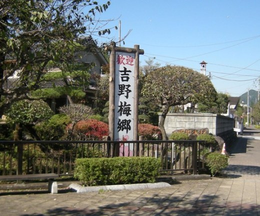 �������̖݂�