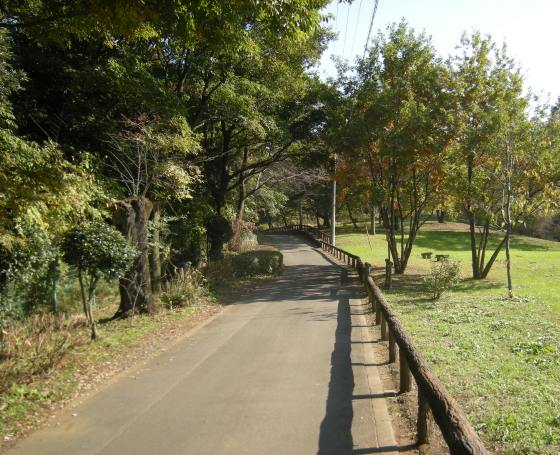 �������̖݂�