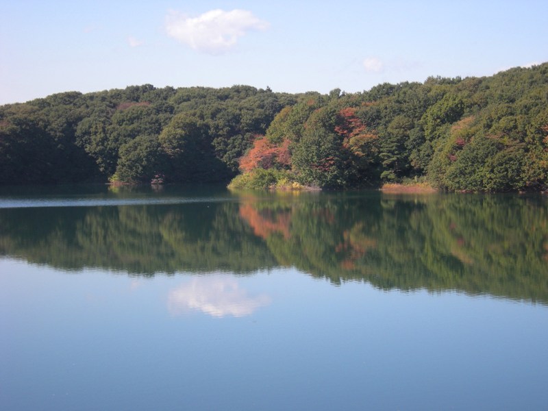 �������̖݂�