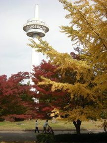 �������̖݂�