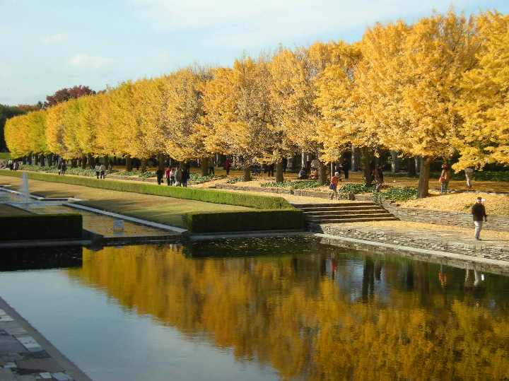 �������̖݂�