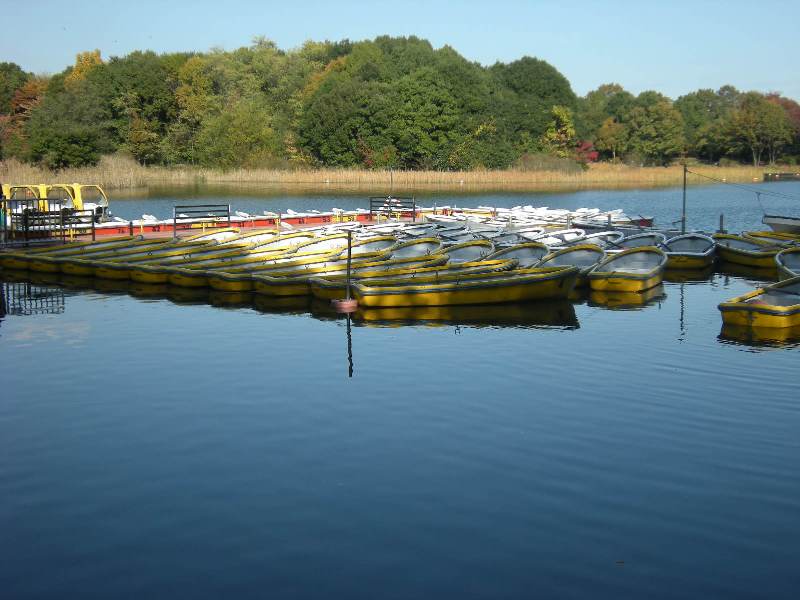 �������̖݂�