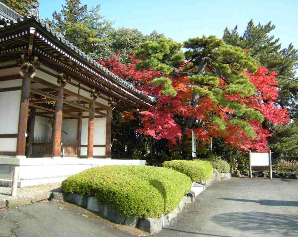 �������̖݂�