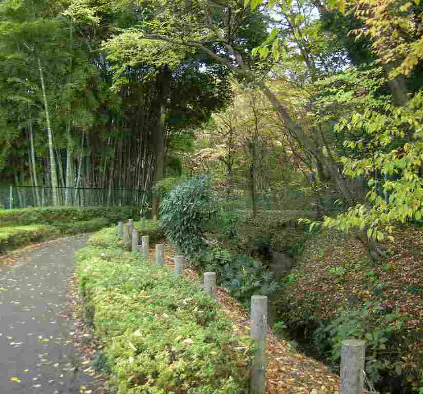 �������̖݂�