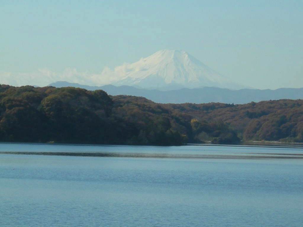 �������̖݂�