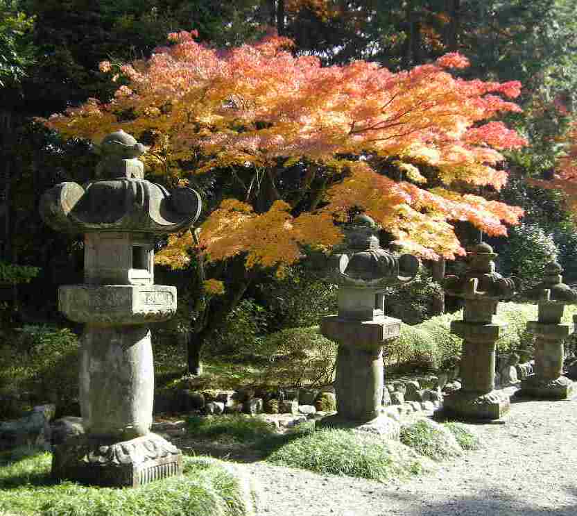 �������̖݂�