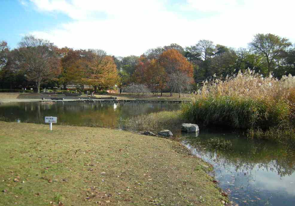 �������̖݂�