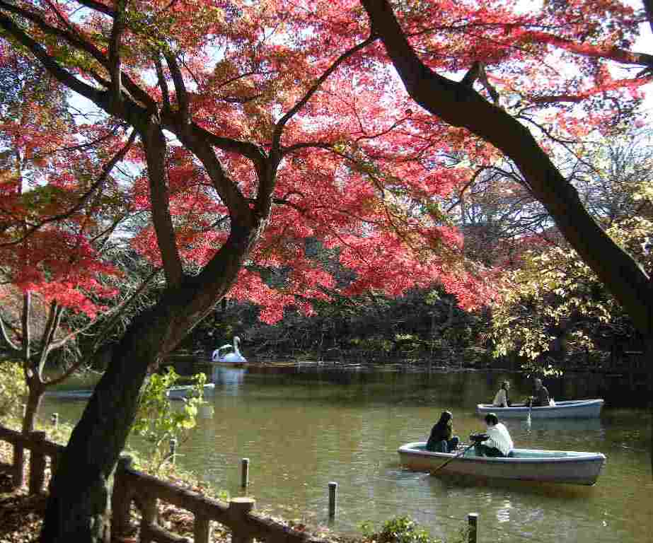 �������̖݂�