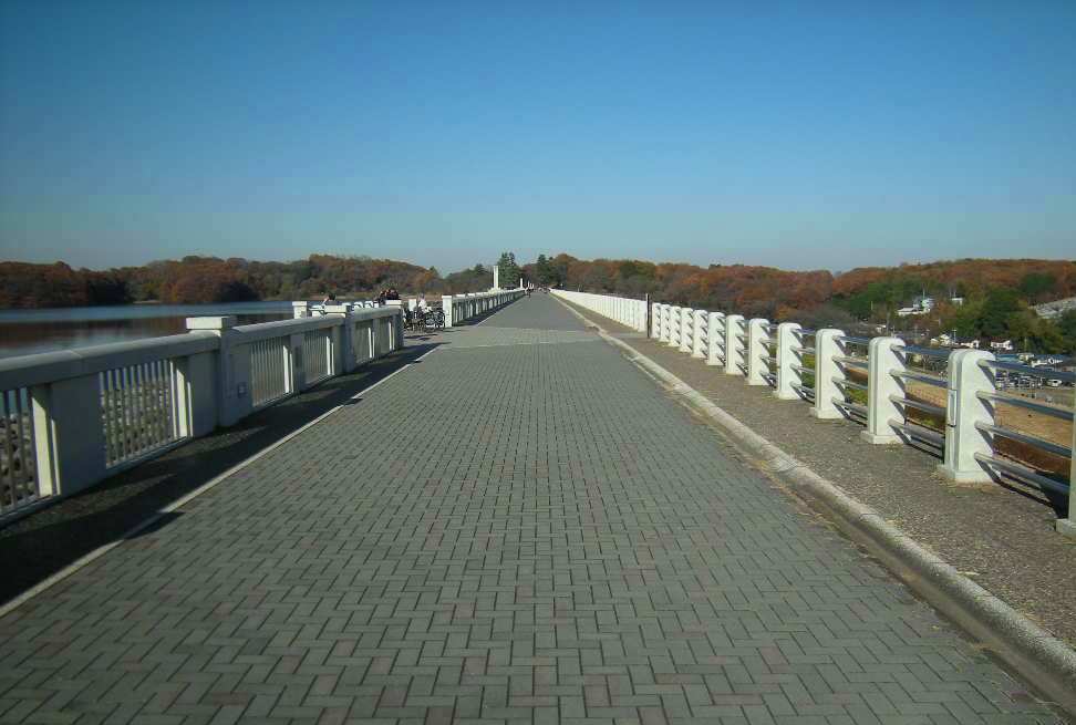 �������̖݂�