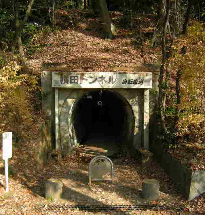 �������̖݂�