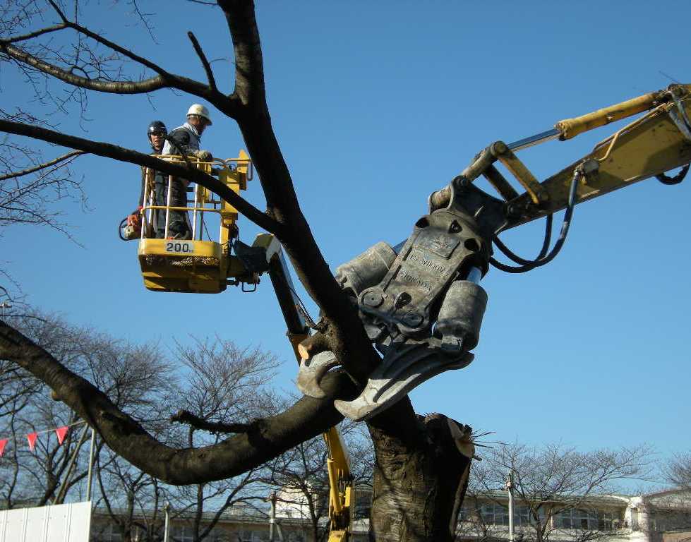 �������̖݂�