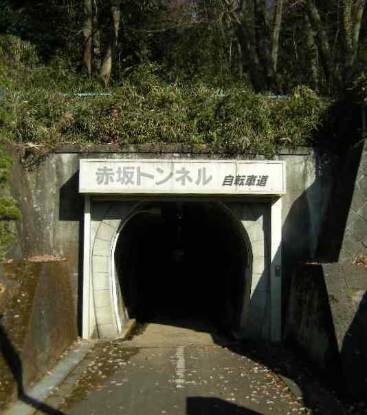 �������̖݂�