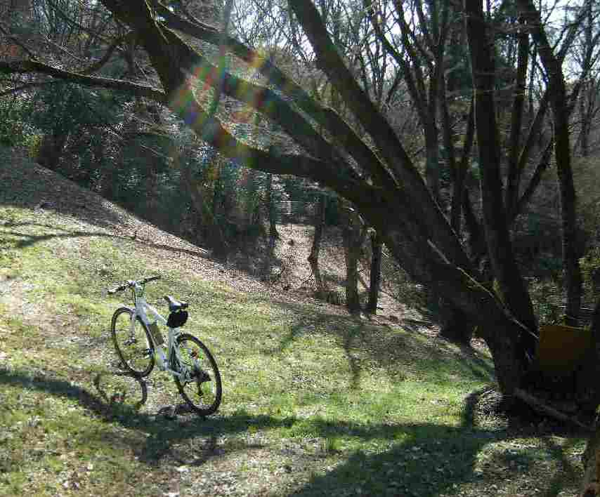 �������̖݂�