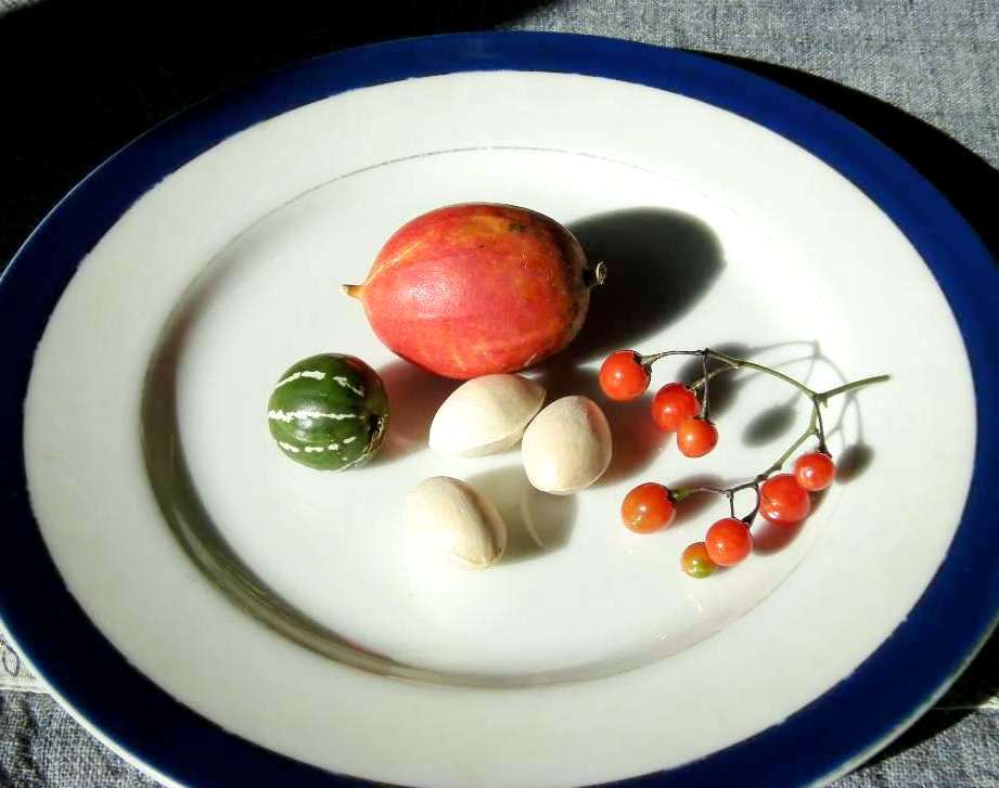 �������̖݂�