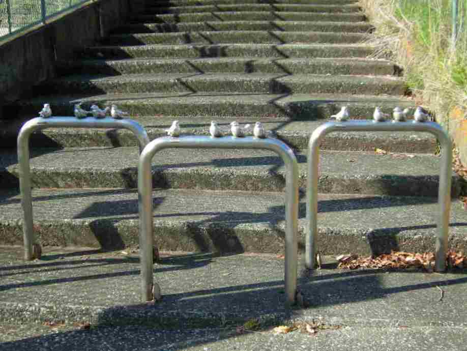 �������̖݂�