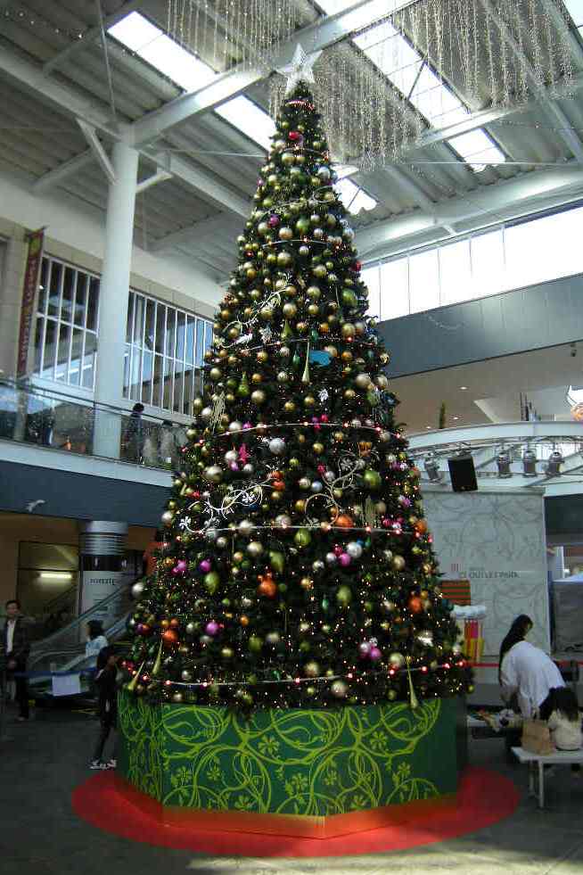 �������̖݂�