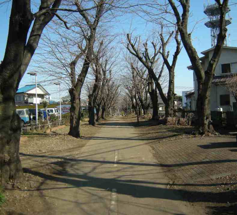 �������̖݂�