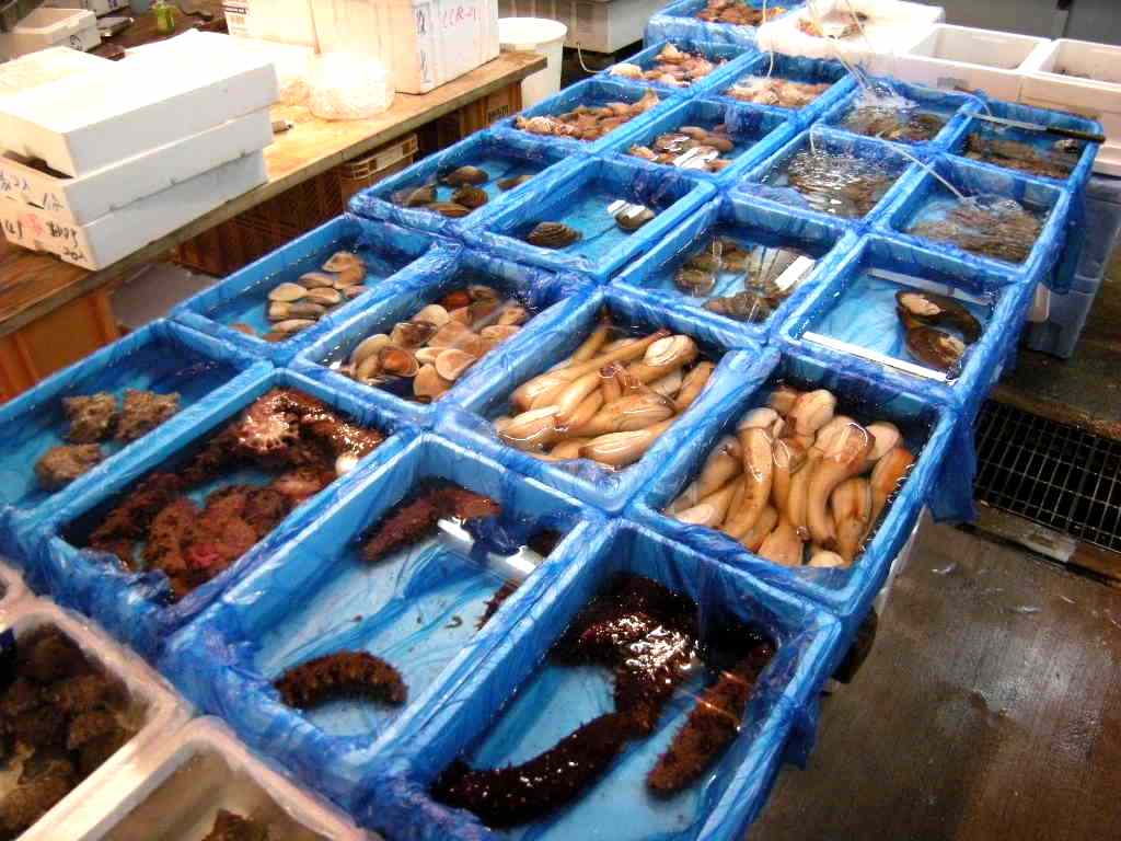 �������̖݂�