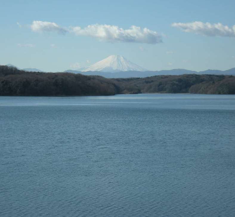 �������̖݂�