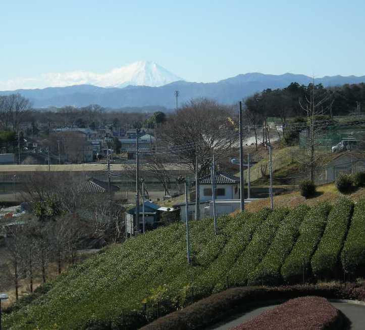 �������̖݂�