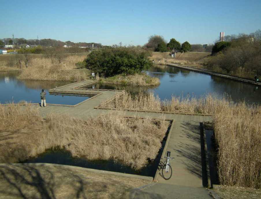 �������̖݂�