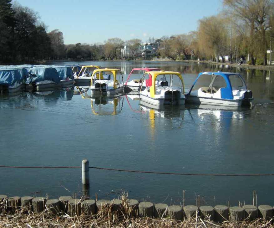 �������̖݂�