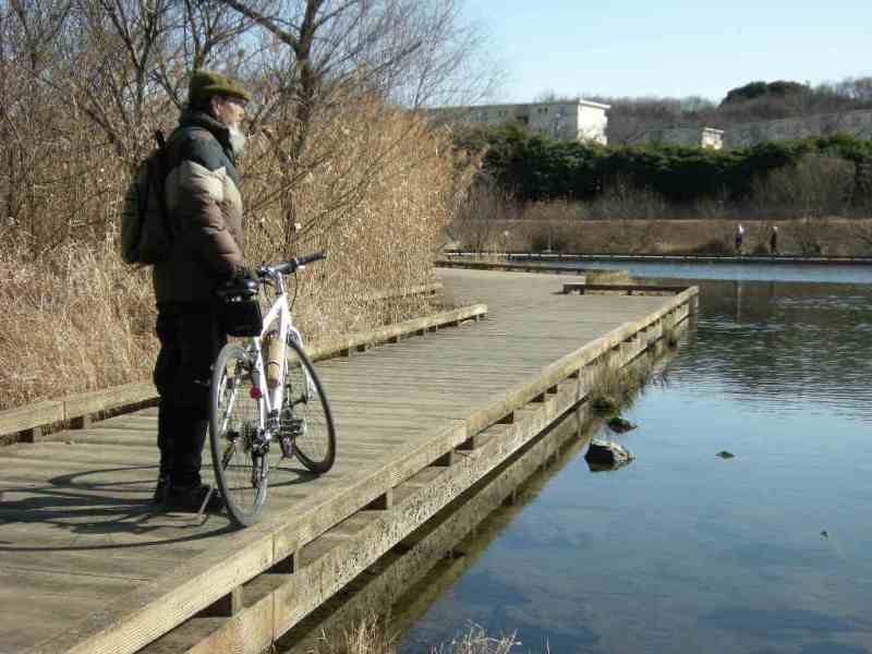 �������̖݂�