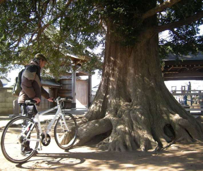 �������̖݂�