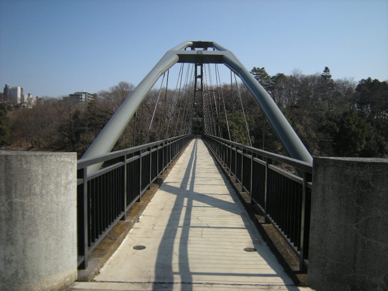 �������̖݂�