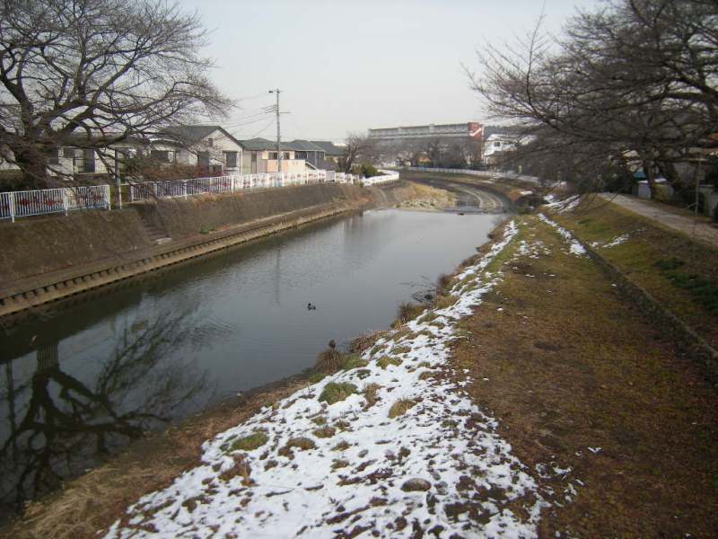 �������̖݂�